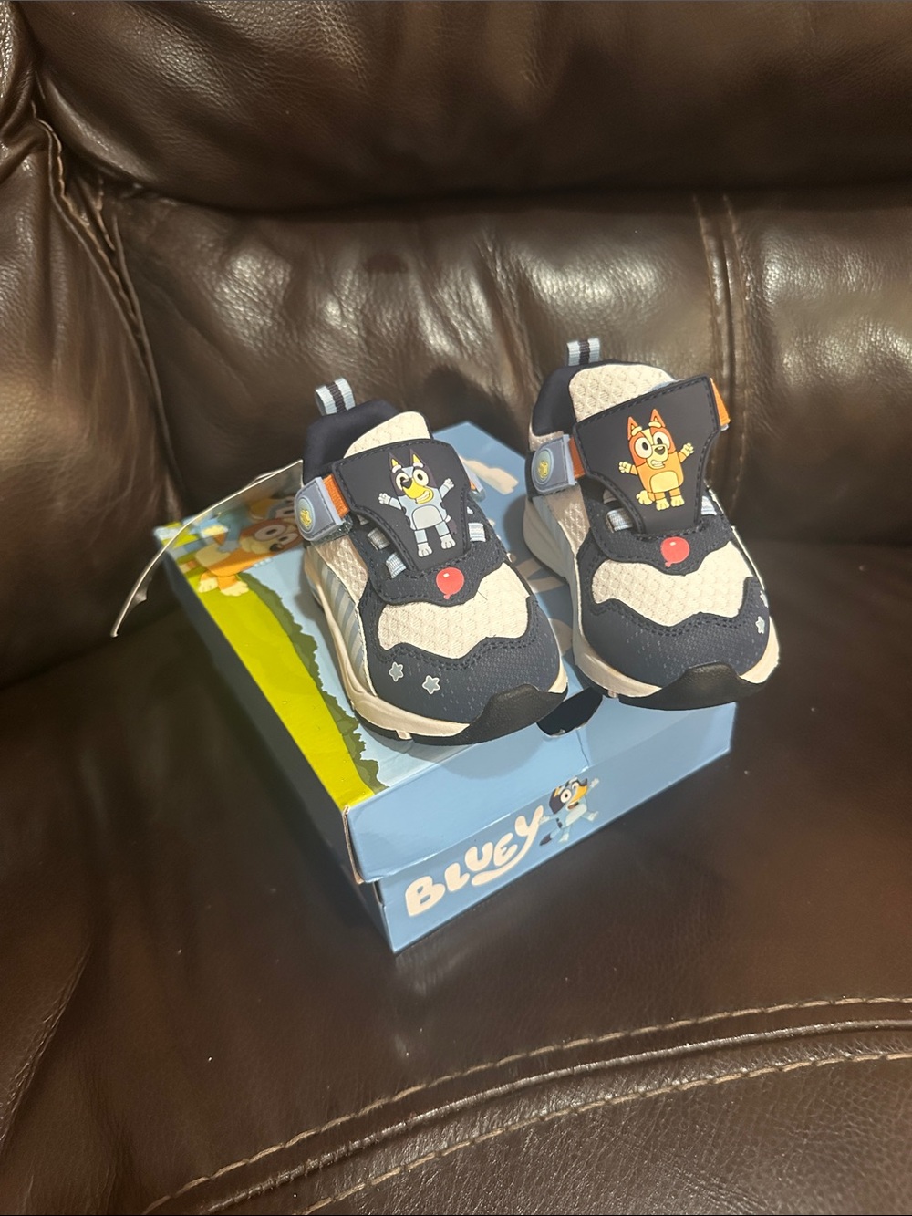 Bluey Kids Light Up Shoes - 5C